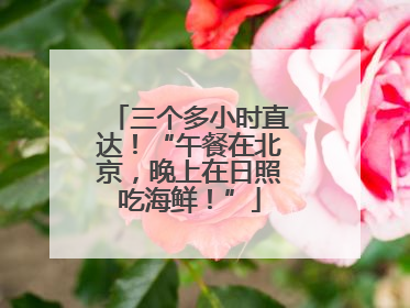 三个多小时直达！“午餐在北京，晚上在日照吃海鲜！”