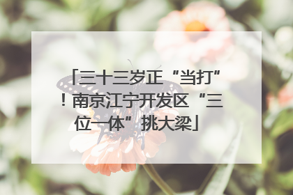 三十三岁正“当打”！南京江宁开发区“三位一体”挑大梁