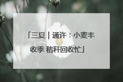 三夏｜通许：小麦丰收季 秸秆回收忙