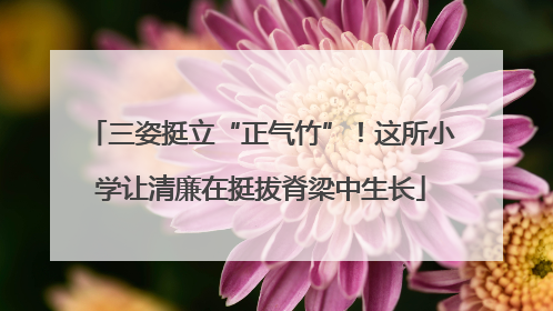 三姿挺立“正气竹”！这所小学让清廉在挺拔脊梁中生长
