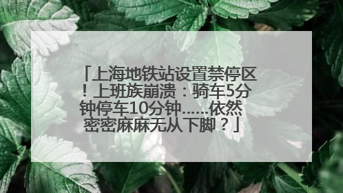 上海地铁站设置禁停区！上班族崩溃：骑车5分钟停车10分钟……依然密密麻麻无从下脚？