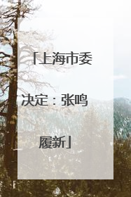 上海市委决定：张鸣履新