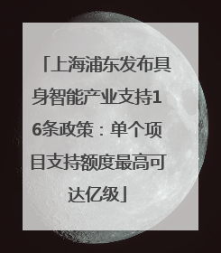 上海浦东发布具身智能产业支持16条政策：单个项目支持额度最高可达亿级