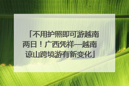 不用护照即可游越南两日！广西凭祥—越南谅山跨境游有新变化