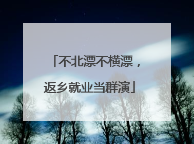 不北漂不横漂，返乡就业当群演