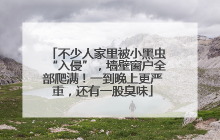 不少人家里被小黑虫“入侵”，墙壁窗户全部爬满！一到晚上更严重，还有一股臭味