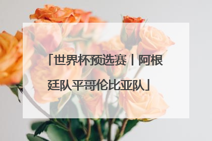世界杯预选赛丨阿根廷队平哥伦比亚队