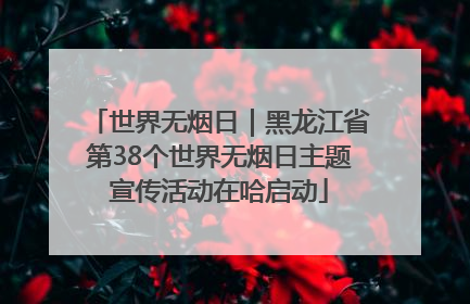 世界无烟日｜黑龙江省第38个世界无烟日主题宣传活动在哈启动