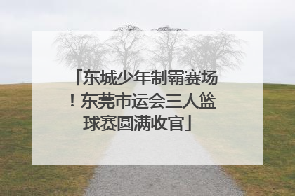 东城少年制霸赛场！东莞市运会三人篮球赛圆满收官