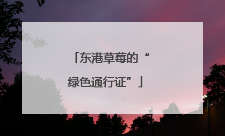 东港草莓的“绿色通行证”