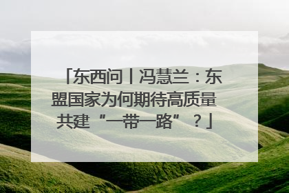 东西问丨冯慧兰：东盟国家为何期待高质量共建“一带一路”？