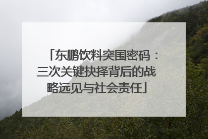 东鹏饮料突围密码：三次关键抉择背后的战略远见与社会责任