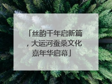 丝韵千年启新篇，大运河蚕桑文化嘉年华启幕