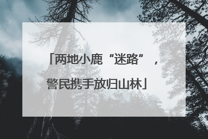 两地小鹿“迷路”，警民携手放归山林