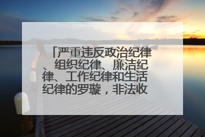 严重违反政治纪律、组织纪律、廉洁纪律、工作纪律和生活纪律的罗璇，非法收受他人巨额财物