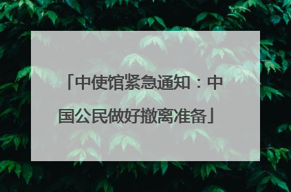中使馆紧急通知：中国公民做好撤离准备