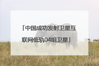 中国成功发射卫星互联网低轨04组卫星