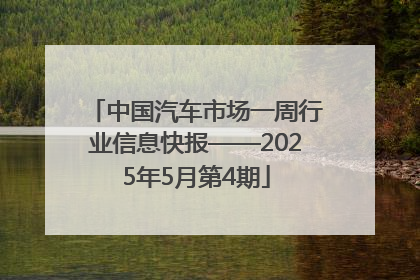 中国汽车市场一周行业信息快报——2025年5月第4期
