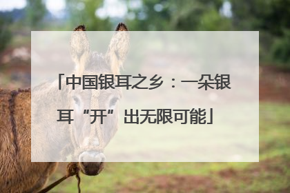 中国银耳之乡：一朵银耳“开”出无限可能