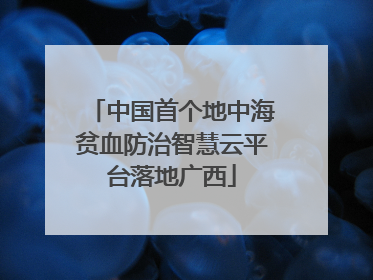 中国首个地中海贫血防治智慧云平台落地广西