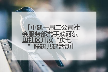 中建一局二公司社会服务部携手滨河东里社区开展“庆七一”联建共建活动
