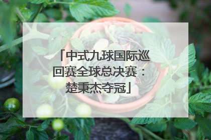 中式九球国际巡回赛全球总决赛：楚秉杰夺冠