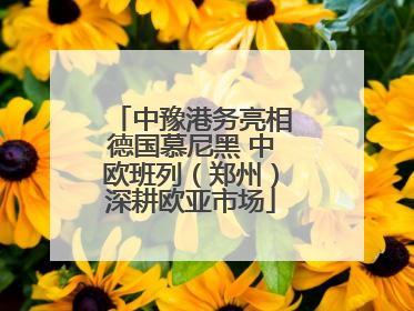 中豫港务亮相德国慕尼黑 中欧班列（郑州）深耕欧亚市场