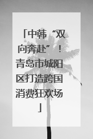 中韩“双向奔赴”！青岛市城阳区打造跨国消费狂欢场