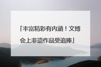 丰富精彩有内涵！文博会上非遗作品受追捧