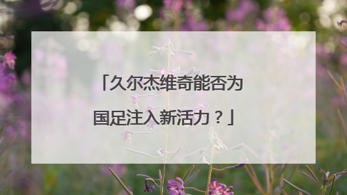久尔杰维奇能否为国足注入新活力？