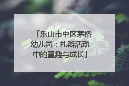 乐山市中区茅桥幼儿园：扎辫活动中的童趣与成长