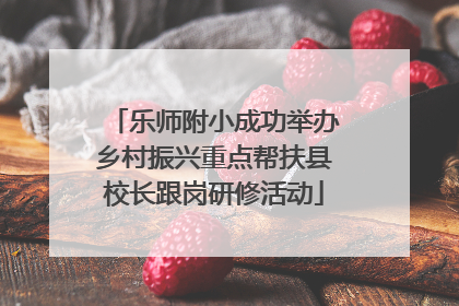 乐师附小成功举办乡村振兴重点帮扶县校长跟岗研修活动