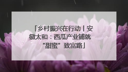 乡村振兴在行动丨安徽太和：西瓜产业铺就“甜蜜”致富路