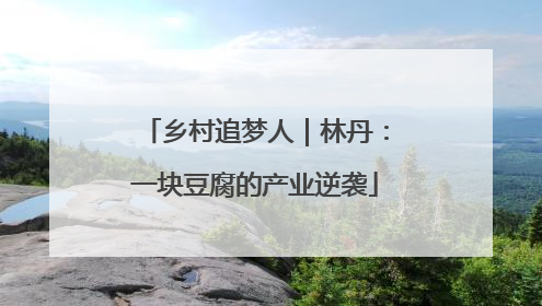 乡村追梦人｜林丹：一块豆腐的产业逆袭
