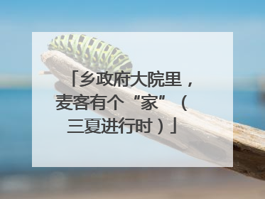乡政府大院里，麦客有个“家”（三夏进行时）