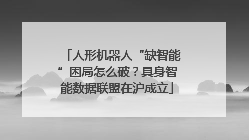 人形机器人“缺智能”困局怎么破？具身智能数据联盟在沪成立