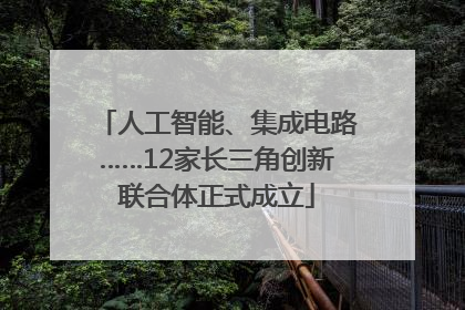 人工智能、集成电路……12家长三角创新联合体正式成立