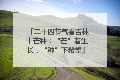 二十四节气看吉林丨芒种：“芒”着生长，“种”下希望