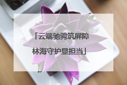 云端驰骋筑屏障 林海守护显担当