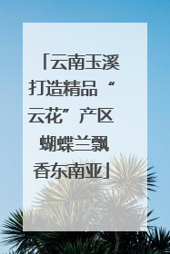 云南玉溪打造精品“云花”产区 蝴蝶兰飘香东南亚