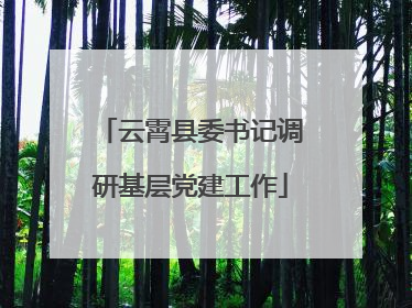 云霄县委书记调研基层党建工作