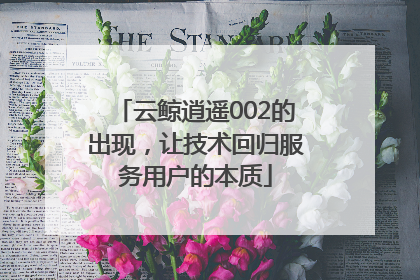 云鲸逍遥002的出现，让技术回归服务用户的本质