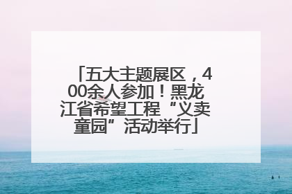 五大主题展区，400余人参加！黑龙江省希望工程“义卖童园”活动举行