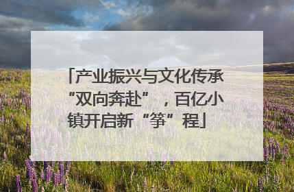产业振兴与文化传承“双向奔赴”，百亿小镇开启新“筝”程