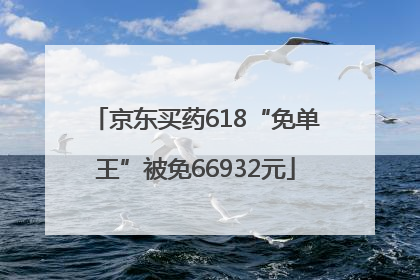 京东买药618“免单王”被免66932元