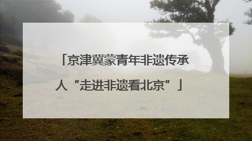 京津冀蒙青年非遗传承人“走进非遗看北京”