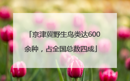 京津冀野生鸟类达600余种，占全国总数四成