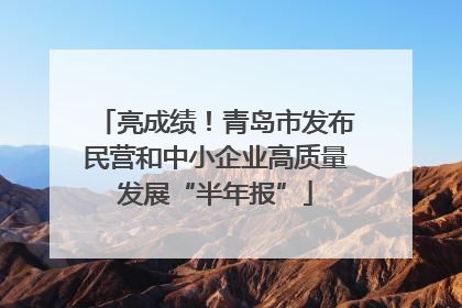 亮成绩！青岛市发布民营和中小企业高质量发展“半年报”