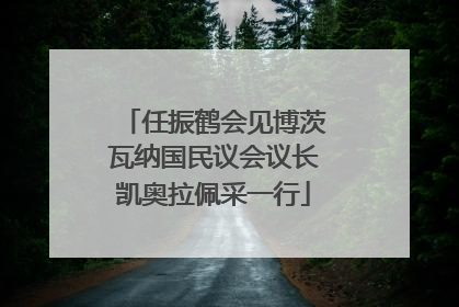 任振鹤会见博茨瓦纳国民议会议长凯奥拉佩采一行