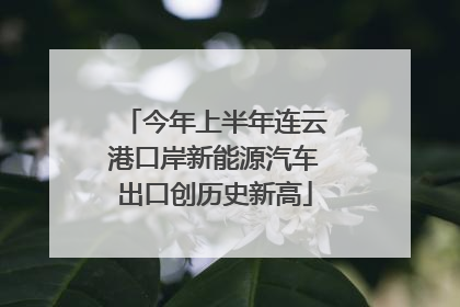 今年上半年连云港口岸新能源汽车出口创历史新高